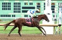 Glory Me sets speed mark 2 weeks into Ellis meeting